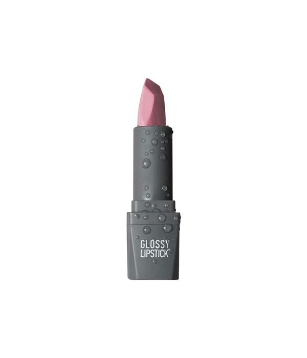 Alix Avien Glossy Lipstick - Shade - 313 Too Rose