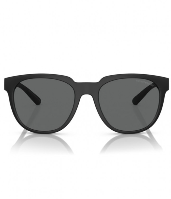 Emporio Armani Sunglasses EA 4205 5001/87 Gray