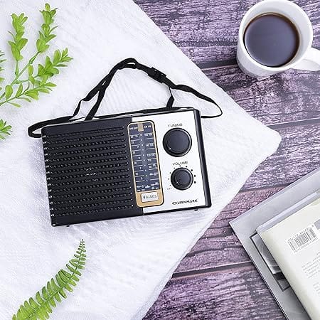 4bandRadio/Fm/Am/Sw 1-2-4/Usb/Tf/Bt 1X20