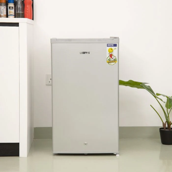 110LSingle Door Defrst Refrgrtr/silvr1x1