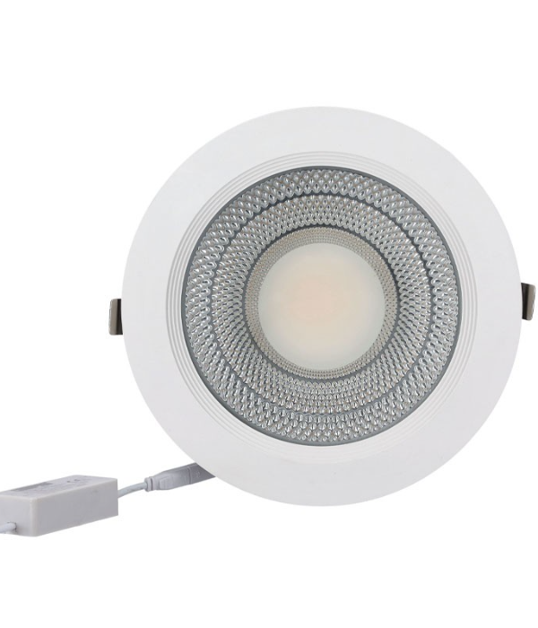 30W COB Downlight/3000K 1x20