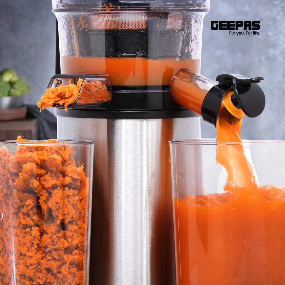Slow Juicer/S/s Housing 1X4